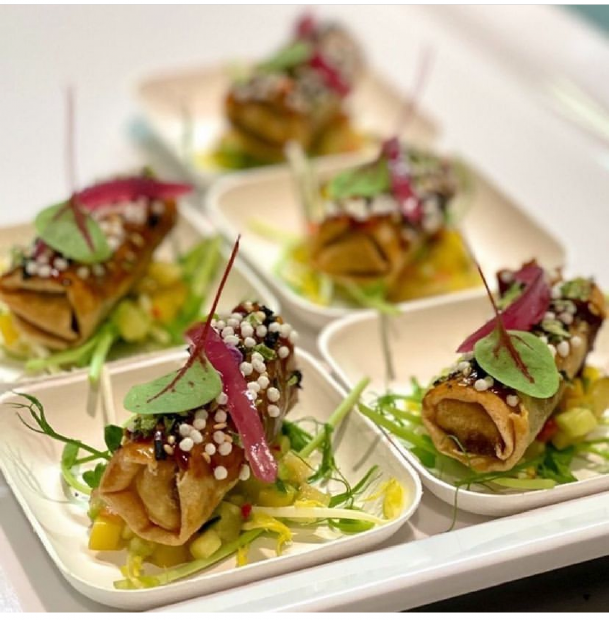 Bagastro Square Disposable Plate - 2 sizes