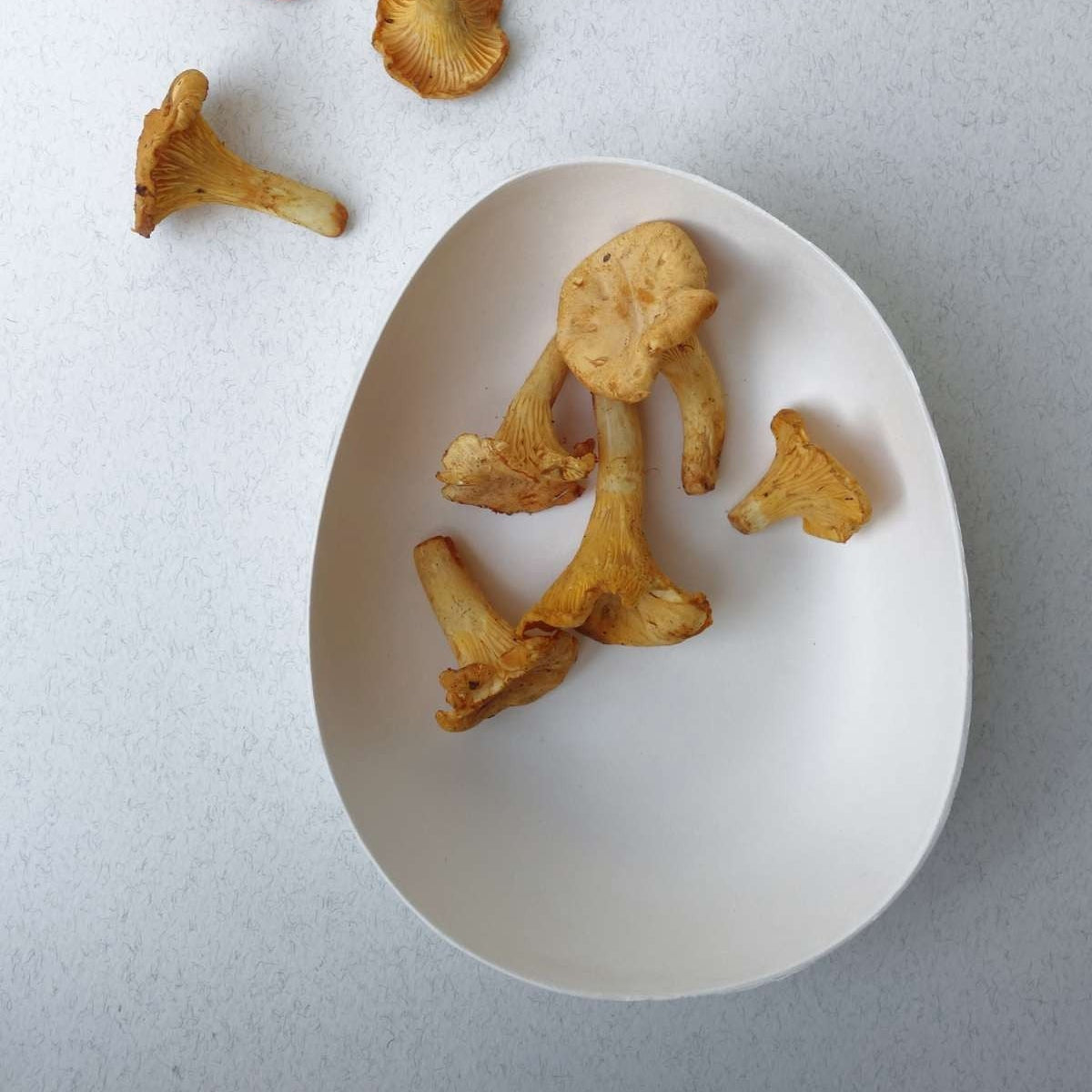 Bagastro Organic Plate - 2 Sizes