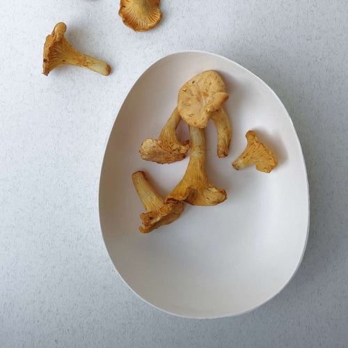 Bagastro Organic Plate - 2 Sizes