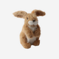 Oxford Bunny